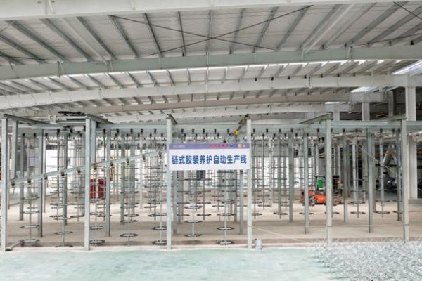 Fully Automatic Chain-Type Cementing and Curing Production Line